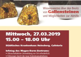 Plakat_Gallensteine_2019