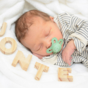 Jonte
